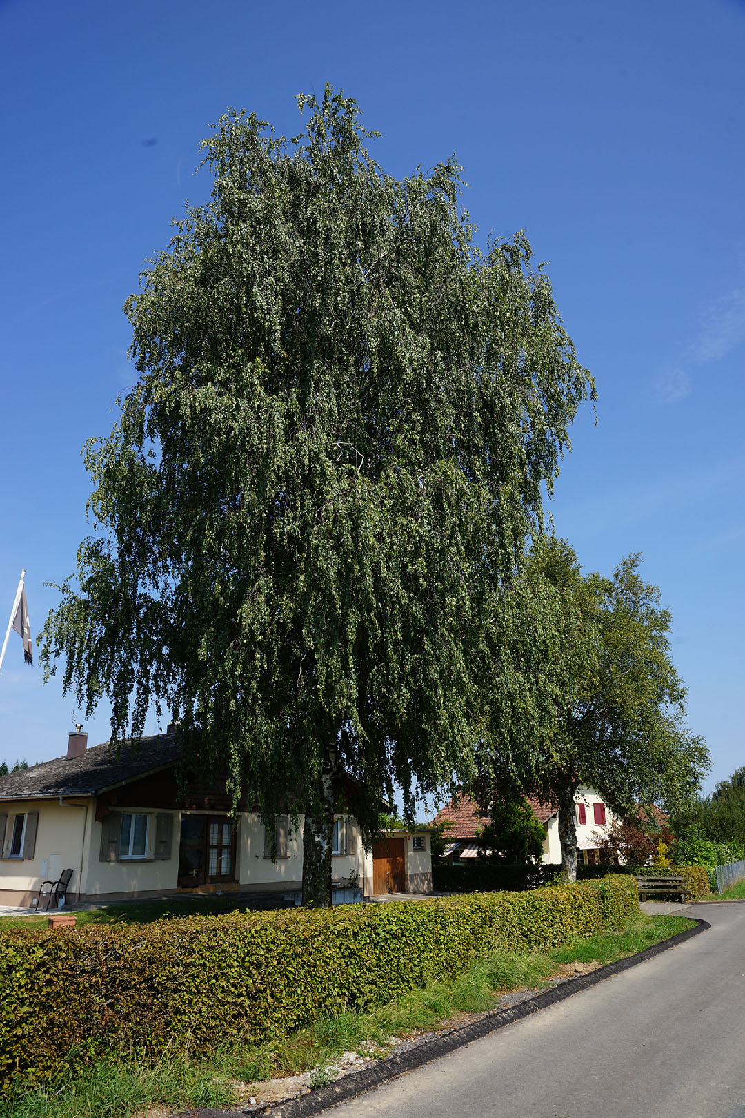 Auboranges, vue du village