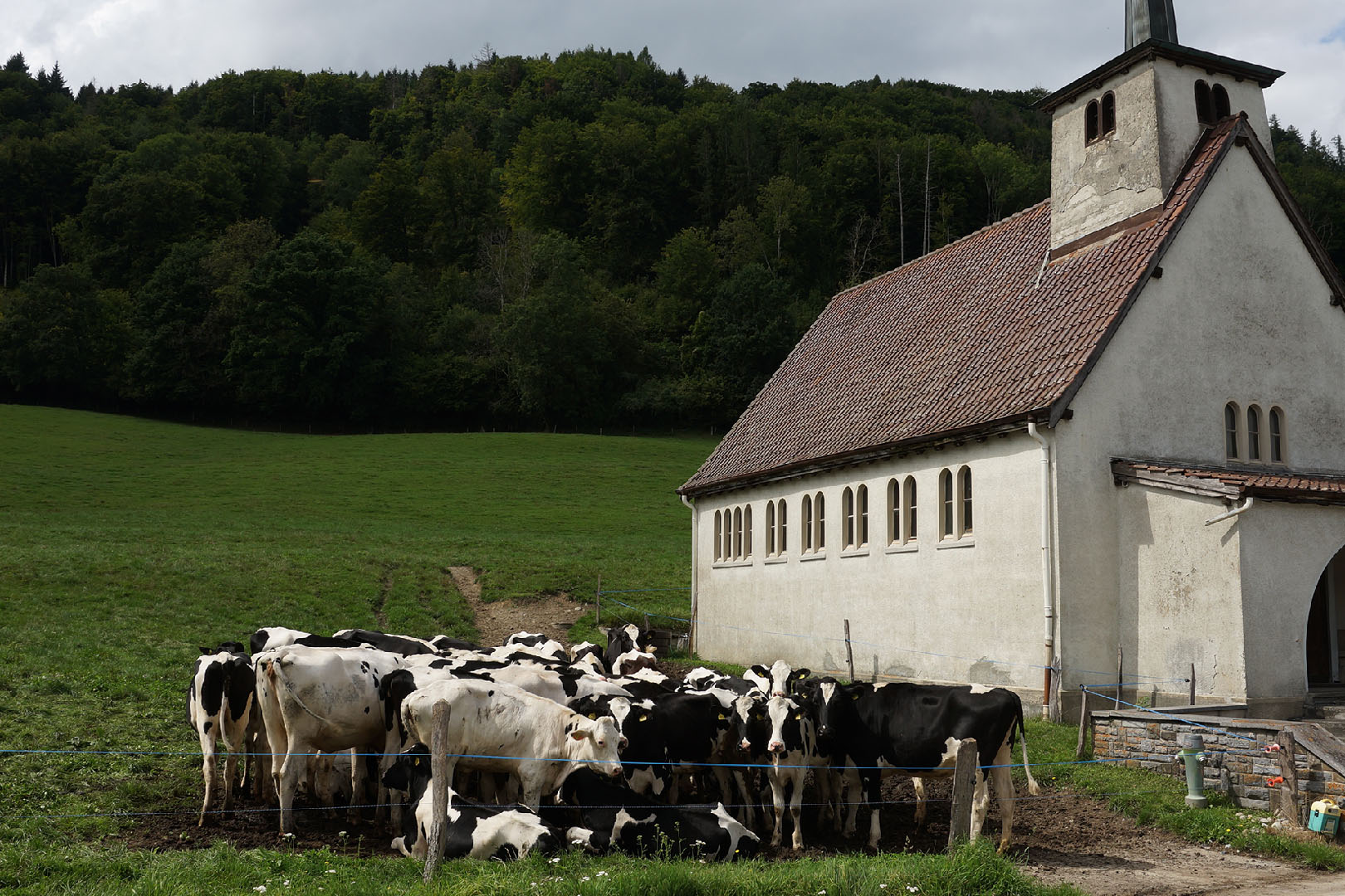 Ecublens, vue du village